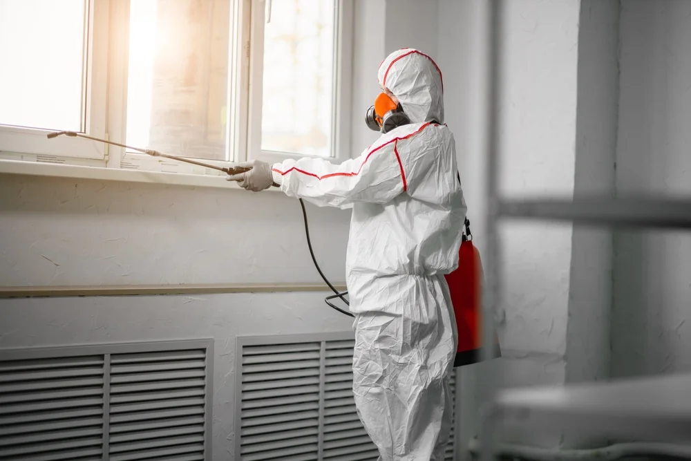 Professional mold remediation services in Seaview, WA